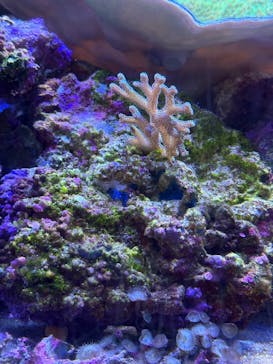 名古屋港水族館に投稿された画像（2025/7/27）