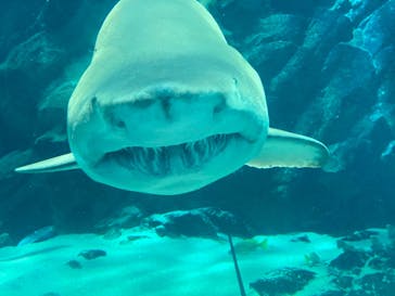 マリンワールド海の中道に投稿された画像（2025/7/27）