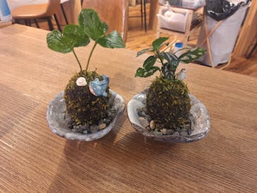 伊勢夫婦岩めおと横丁　めおと岩アクティビティに投稿された画像（2025/7/27）