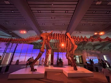巨大恐竜展2025に投稿された画像（2025/7/27）