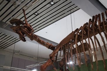 巨大恐竜展2025に投稿された画像（2025/7/27）