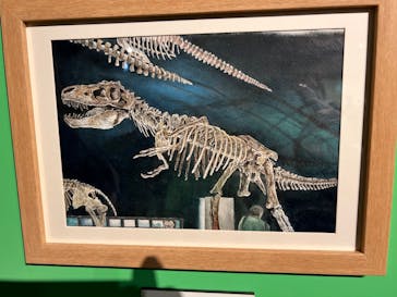 プレバト才能アリ展に投稿された画像（2025/7/27）