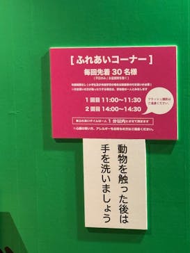 リトルモンスター展～「うゎっ」と「ぅわぁ～」のいきものたち～ @新潟県立自然科学館に投稿された画像（2025/7/27）