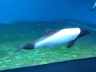 仙台うみの杜水族館に投稿された画像（2025/7/27）