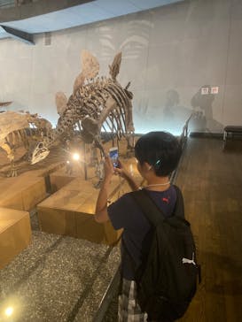 福井県立恐竜博物館に投稿された画像（2025/7/27）