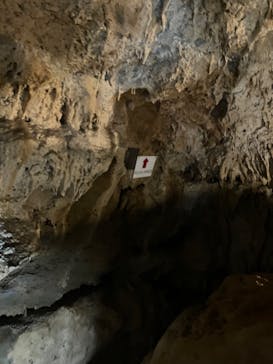 石垣島鍾乳洞に投稿された画像（2025/7/27）