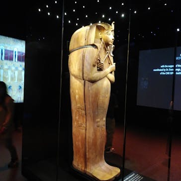 ACN ラムセス大王展 ファラオたちの黄金に投稿された画像（2025/7/27）