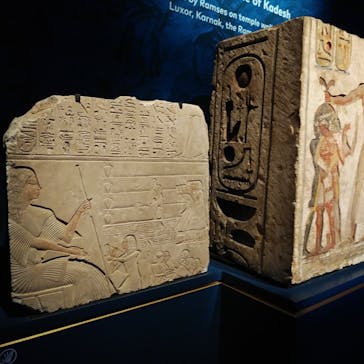 ACN ラムセス大王展 ファラオたちの黄金に投稿された画像（2025/7/27）