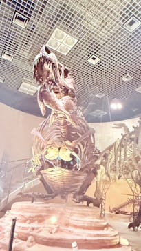 国立科学博物館に投稿された画像（2025/7/27）