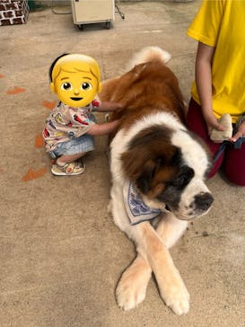 東北サファリパークに投稿された画像（2025/7/27）