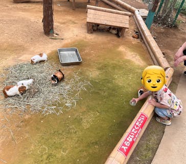 東北サファリパークに投稿された画像（2025/7/27）