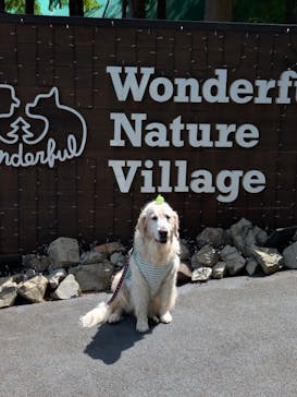 わんダフルネイチャーヴィレッジに投稿された画像（2025/7/27）