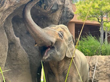 名古屋市東山動植物園に投稿された画像（2025/7/27）