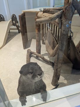 アニタッチPARKイオンモール太田に投稿された画像（2025/7/27）