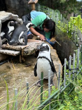サンシャイン水族館に投稿された画像（2025/7/27）