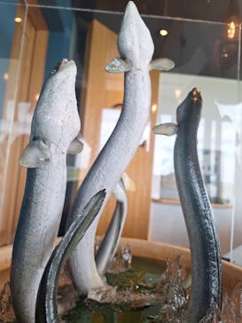 戸村川魚店　香取本店に投稿された画像（2025/7/27）