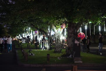 万博記念公園に投稿された画像（2025/7/27）