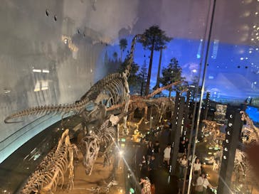 福井県立恐竜博物館に投稿された画像（2025/7/27）