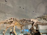 福井県立恐竜博物館に投稿された画像（2025/7/27）