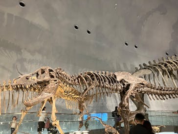 福井県立恐竜博物館に投稿された画像（2025/7/27）