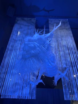 滋賀県立琵琶湖博物館に投稿された画像（2025/7/27）