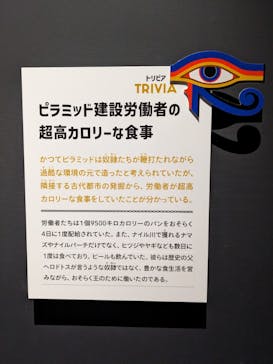 ブルックリン博物館所蔵　特別展　古代エジプト（豊田会場）に投稿された画像（2025/7/27）