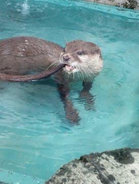 下田海中水族館に投稿された画像（2025/7/27）