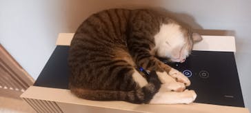 おさるランド＆アニタウン　日光さる軍団劇場に投稿された画像（2025/7/27）