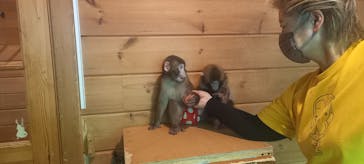 おさるランド＆アニタウン　日光さる軍団劇場に投稿された画像（2025/7/27）