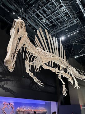 福井県立恐竜博物館に投稿された画像（2025/7/27）