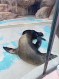 サンシャイン水族館に投稿された画像（2025/7/27）