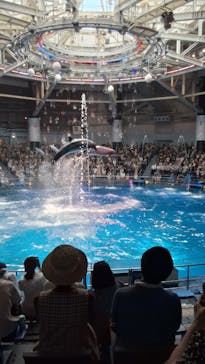 マクセル アクアパーク品川に投稿された画像（2025/7/27）