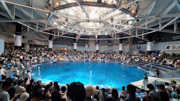 マクセル アクアパーク品川に投稿された画像（2025/7/27）