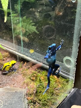 サンシャイン水族館に投稿された画像（2025/7/27）