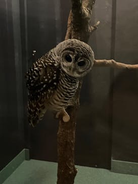 サンシャイン水族館に投稿された画像（2025/7/27）