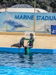 下田海中水族館に投稿された画像（2025/7/27）