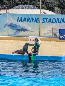 下田海中水族館に投稿された画像（2025/7/27）