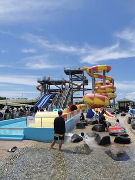 蓮沼ウォーターガーデンに投稿された画像（2025/7/27）