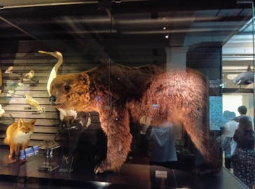 国立科学博物館に投稿された画像（2025/7/27）