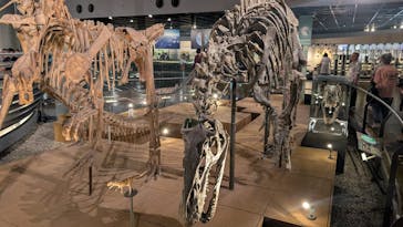 福井県立恐竜博物館に投稿された画像（2025/7/27）