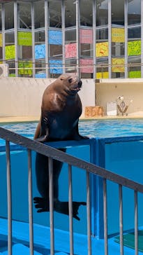 伊豆・三津シーパラダイスに投稿された画像（2025/7/27）