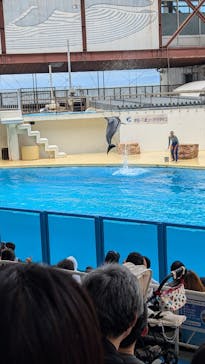 伊豆・三津シーパラダイスに投稿された画像（2025/7/27）