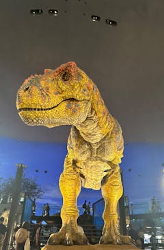 福井県立恐竜博物館に投稿された画像（2025/7/28）
