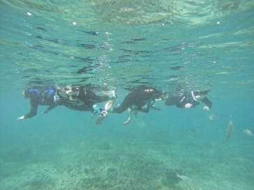 武藤潜水に投稿された画像（2025/7/28）