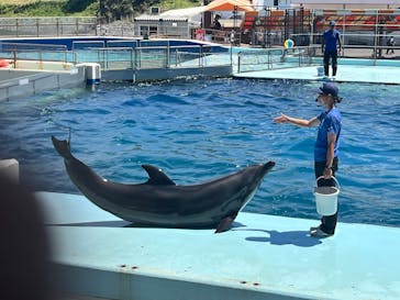 越前松島水族館に投稿された画像（2025/7/28）