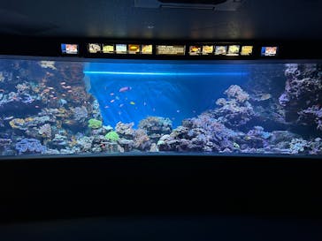サンシャイン水族館に投稿された画像（2025/7/28）
