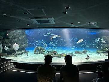 サンシャイン水族館に投稿された画像（2025/7/28）
