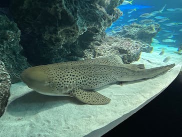サンシャイン水族館に投稿された画像（2025/7/28）