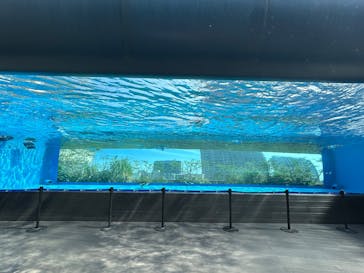 サンシャイン水族館に投稿された画像（2025/7/28）