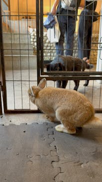 おさるの湯もみ処　おさ湯に投稿された画像（2025/7/28）